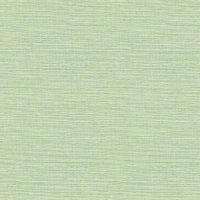 Bluebell-FD24284