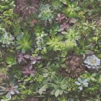 Evergreen-7322
